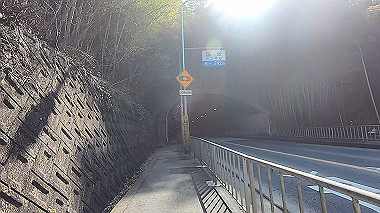 gx017572.mp4_snapshot_04.32_thumb.jpg