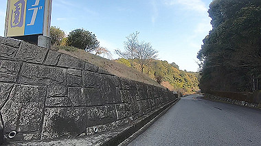 gx017576.mp4_snapshot_03.31_thumb.jpg
