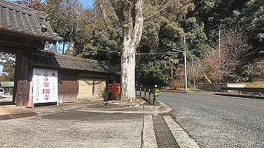 gx017576.mp4_snapshot_04.36_thumb.jpg
