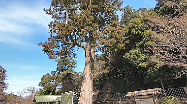 gx017577.mp4_snapshot_00.17_thumb.jpg