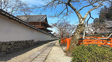 gx017577.mp4_snapshot_01.58_thumb.jpg