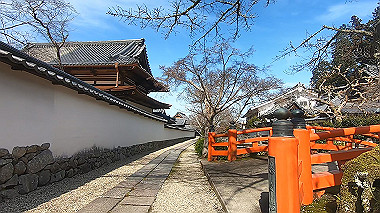 gx017577.mp4_snapshot_02.01_thumb.jpg