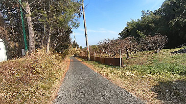 gx017580.mp4_snapshot_00.03_thumb.jpg