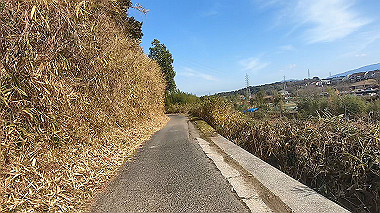 gx017580.mp4_snapshot_00.18_thumb.jpg