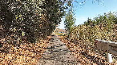 gx017580.mp4_snapshot_00.28_thumb.jpg