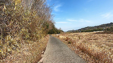 gx017580.mp4_snapshot_00.51_thumb.jpg