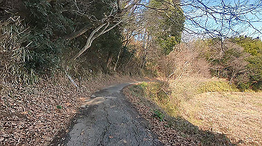 gx017580.mp4_snapshot_01.30_thumb.jpg