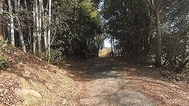 gx017580.mp4_snapshot_01.43_thumb.jpg