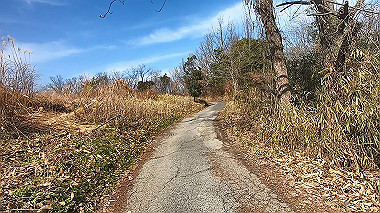gx017581.mp4_snapshot_02.05_thumb.jpg
