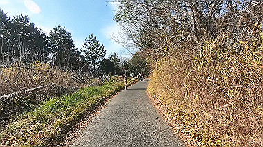 gx017581.mp4_snapshot_02.37_thumb.jpg