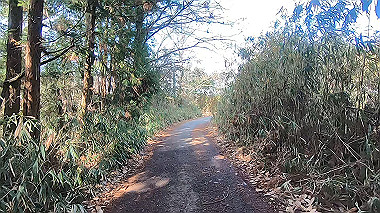 gx017581.mp4_snapshot_03.51_thumb.jpg