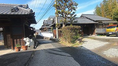 gx017582.mp4_snapshot_00.29_thumb.jpg