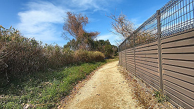 gx017583.mp4_snapshot_00.26_thumb.jpg