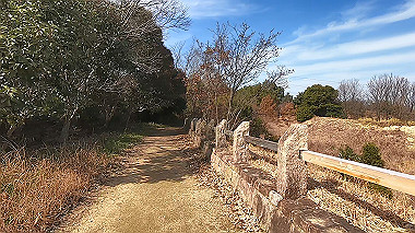 gx017583.mp4_snapshot_00.59_thumb.jpg