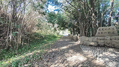 gx017583.mp4_snapshot_01.20_thumb.jpg