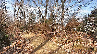 gx017584.mp4_snapshot_01.39_thumb.jpg