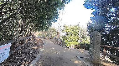 gx017585.mp4_snapshot_00.22_thumb.jpg