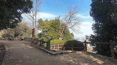 gx017585.mp4_snapshot_00.26_thumb.jpg
