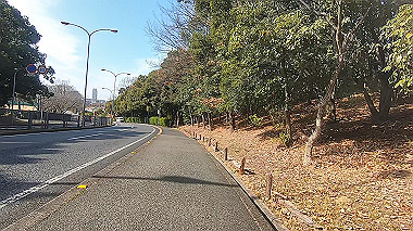 gx017586.mp4_snapshot_00.12_thumb.jpg