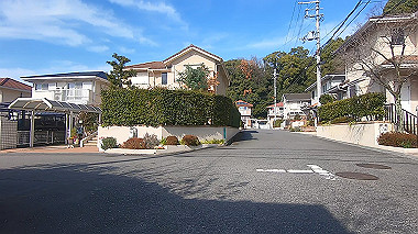 gx017586.mp4_snapshot_00.45_thumb.jpg