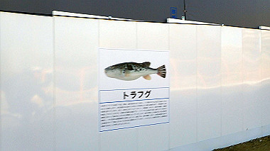 p2124560_thumb.jpg