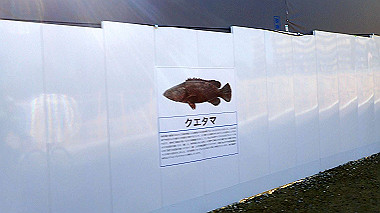 p2124561_thumb.jpg