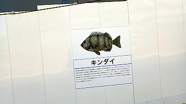 p2124565_thumb.jpg