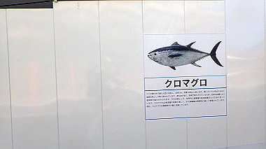 p2124566_thumb.jpg