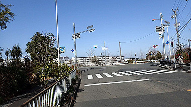 p2124574_thumb.jpg