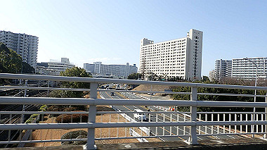 p2124578_thumb.jpg