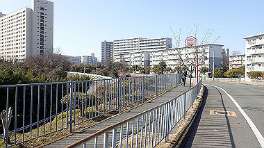 p2124581_thumb.jpg