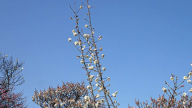 p2124588_thumb.jpg