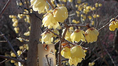 p2124599_thumb.jpg
