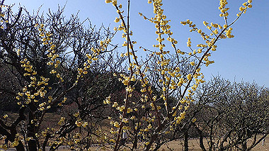 p2124600_thumb.jpg