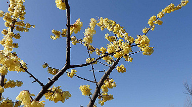 p2124601_thumb.jpg