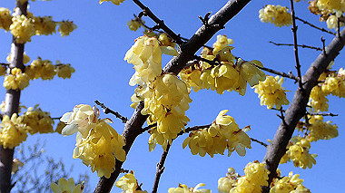p2124602_thumb.jpg