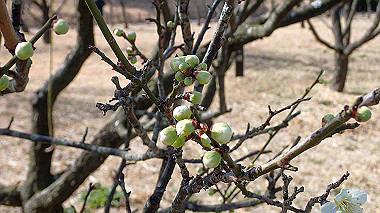 p2124603_thumb.jpg