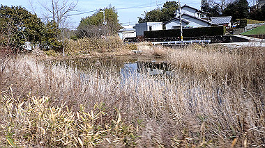 p2124614_thumb.jpg