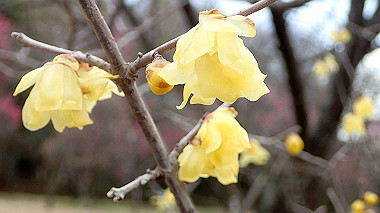 p2174622_thumb.jpg
