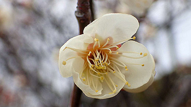 p2174625_thumb.jpg