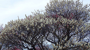 p2174631_thumb.jpg