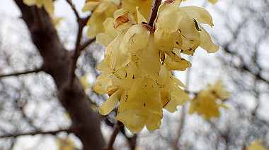 p2174636_thumb.jpg