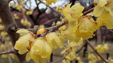 p2174637_thumb.jpg