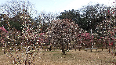 p2174643_thumb.jpg