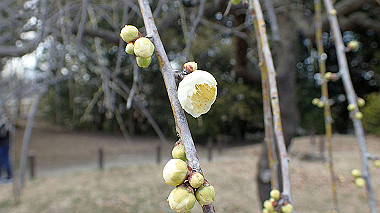 p2174644_thumb.jpg