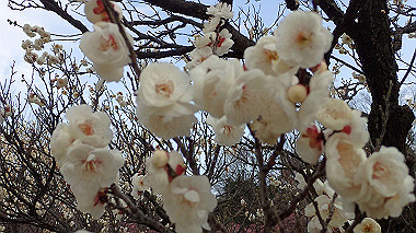 p2174651_thumb.jpg