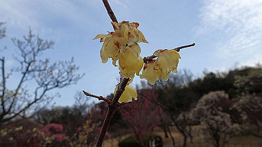 p2174653_thumb.jpg