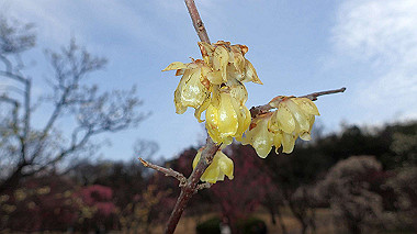 p2174654_thumb.jpg