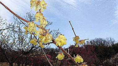 p2174655_thumb.jpg