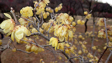 p2174657_thumb.jpg